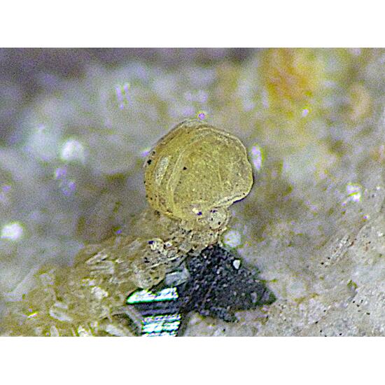 Parisite-(Ce) & Anatase