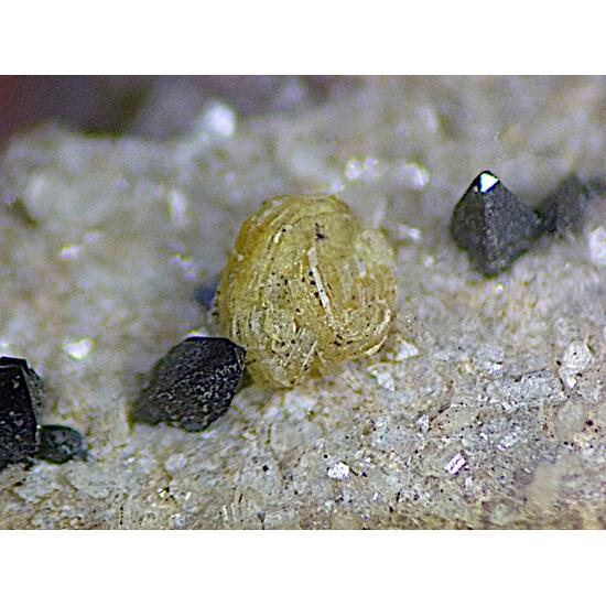 Parisite-(Ce) & Anatase