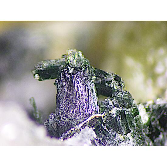 Ferro-actinolite