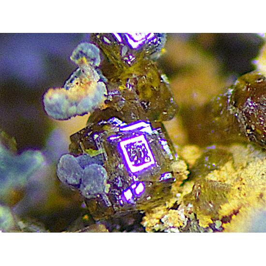 Cyrilovite & Autunite & Laueite