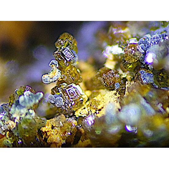 Cyrilovite & Autunite & Laueite