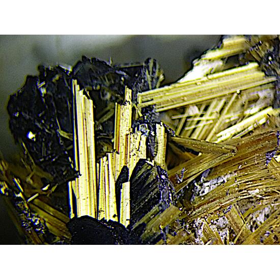 Rutile