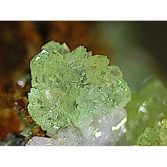 Adamite & Austinite