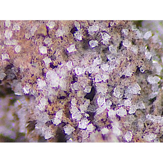 Fluornatrocoulsellite