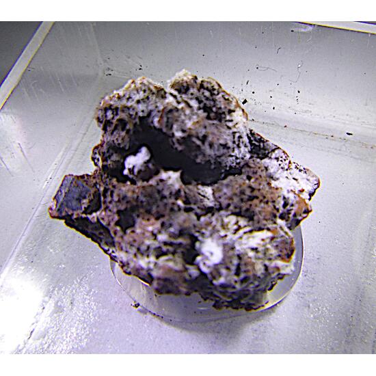 Fluornatrocoulsellite