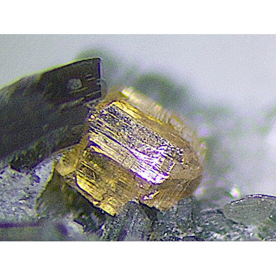 Perovskite