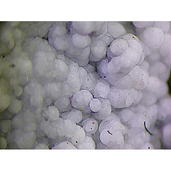 Dypingite & Inderite & Canavesite