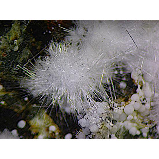 Dypingite & Inderite & Canavesite