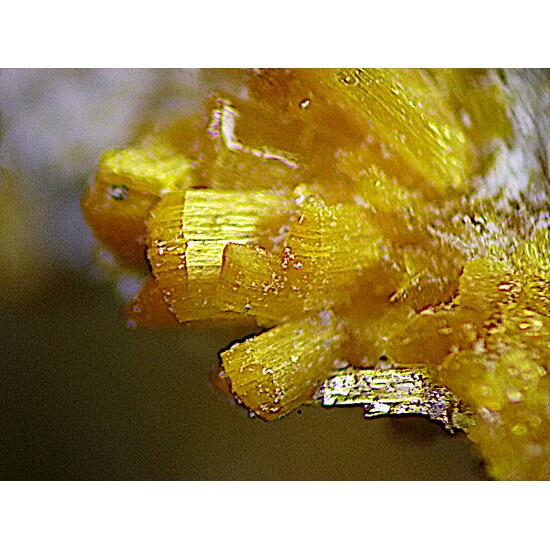 Antofagastaite & Sideronatrite