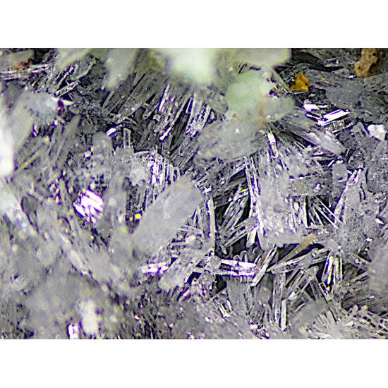 Chongite & Annabergite