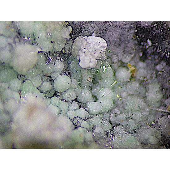 Chongite & Annabergite