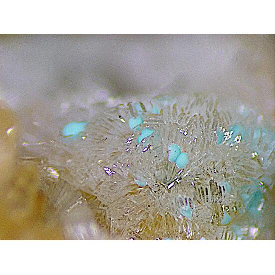 Rosasite & Hemimorphite