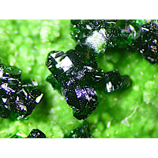Gillardite