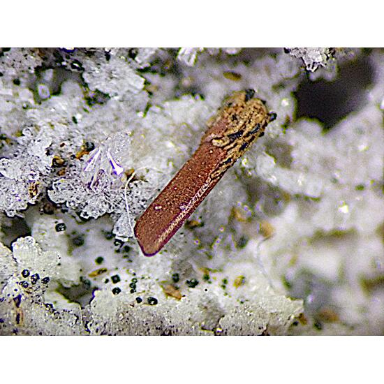 Magnesio-ferri-fluoro-hornblende