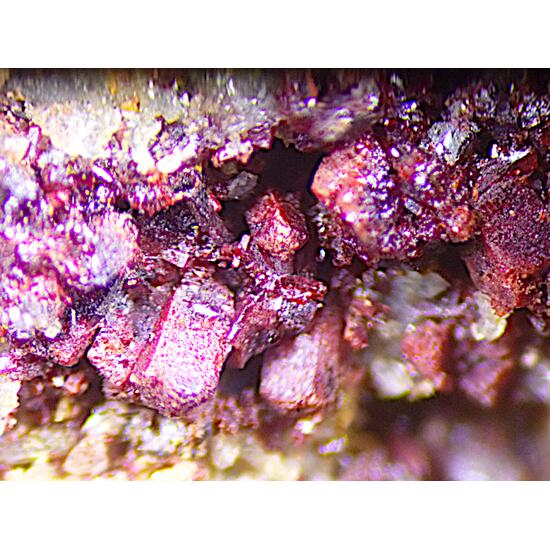 Sewardite & Carminite