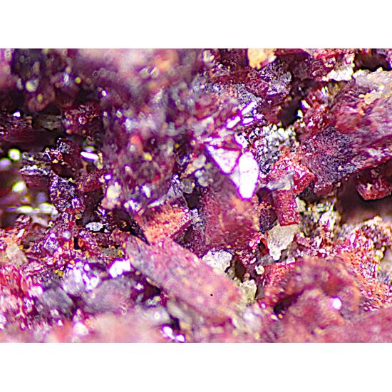 Sewardite & Carminite