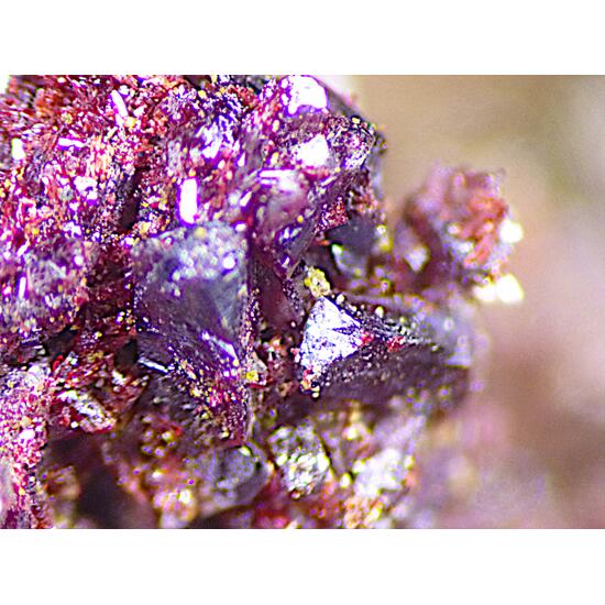 Sewardite & Carminite