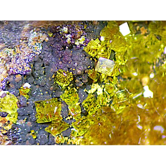 Pharmacosiderite & Scorodite