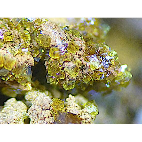 Pharmacosiderite & Scorodite