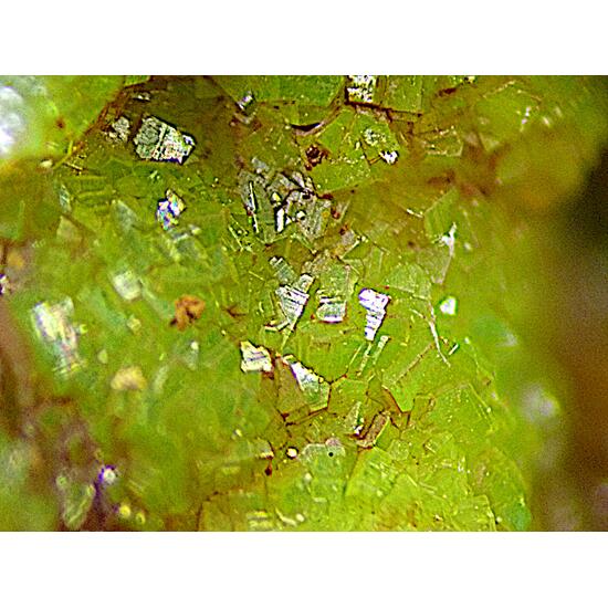 Variscite & Chalcosiderite