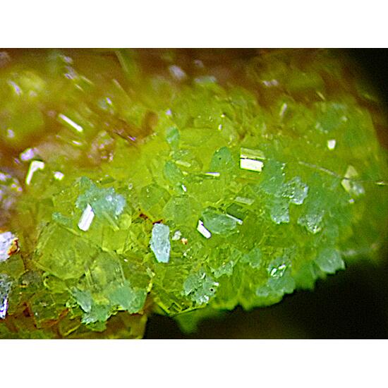 Variscite & Chalcosiderite