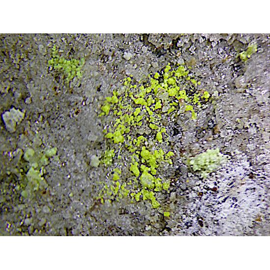 Bayleyite & Rabbittite