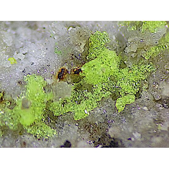 Bayleyite & Rabbittite