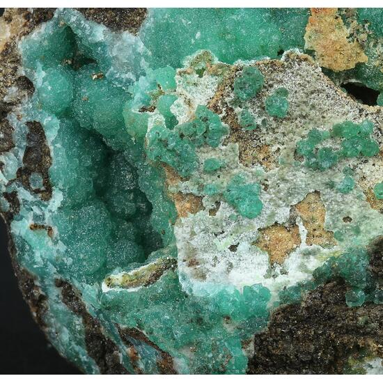 Cuprian Adamite