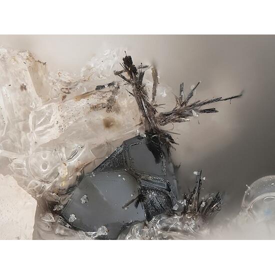 Nioboixiolite-(Fe3+) & Magnetite