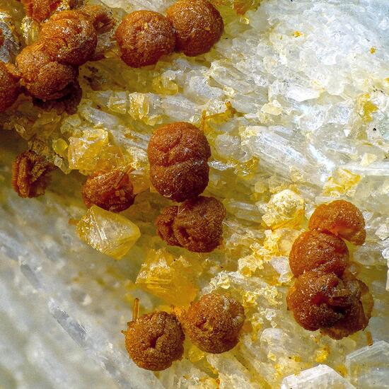 Zanazziite Kosnarite & Eosphorite On Albite