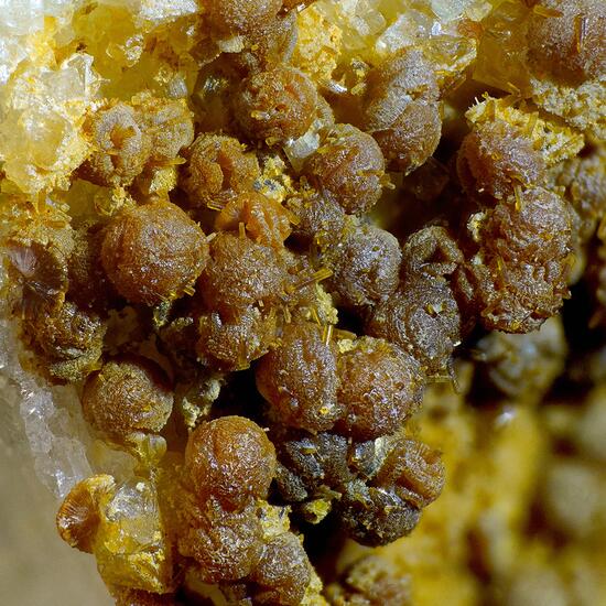 Zanazziite Kosnarite & Eosphorite On Albite