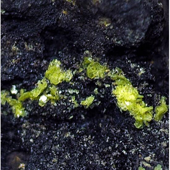 Autunite