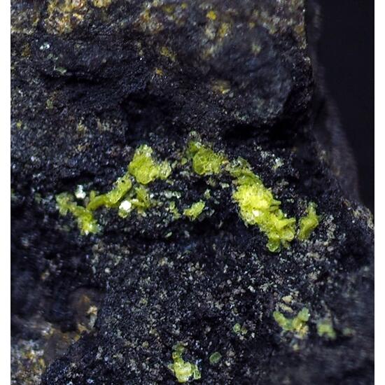 Autunite