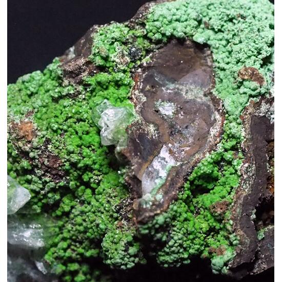 Calcite & Conichalcite
