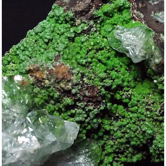 Calcite & Conichalcite
