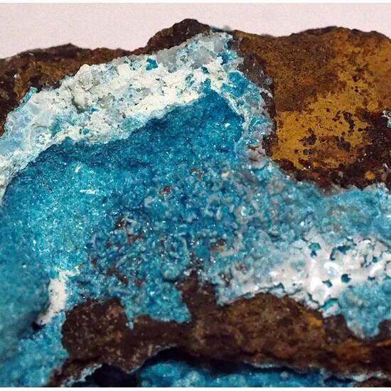 Zincowoodwardite & Serpierite