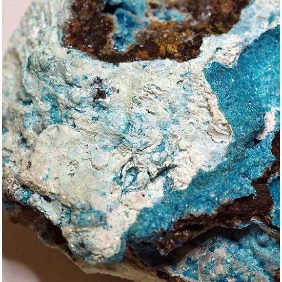 Zincowoodwardite & Serpierite