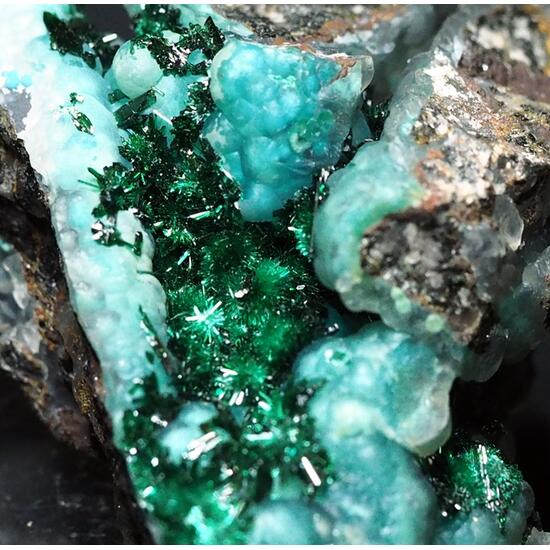 Brochantite & Chrysocolla