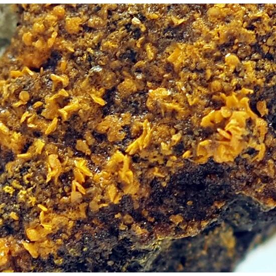 Huemulite & Pascoite