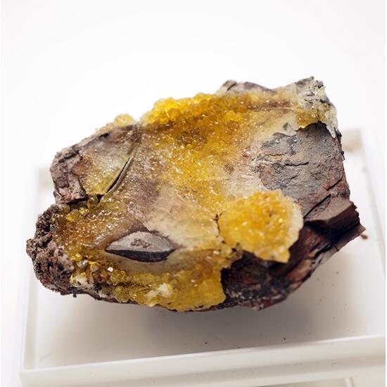 Salammoniac & Selenium