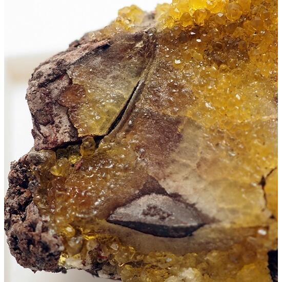 Salammoniac & Selenium