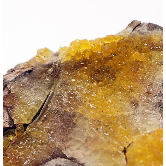 Salammoniac & Selenium