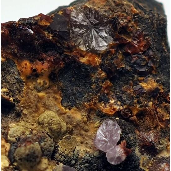 Strengite & Beraunite