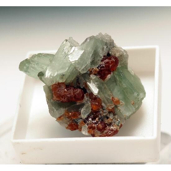 Diopside & Hessonite