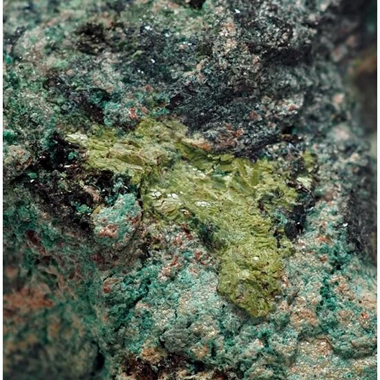 Demesmaekerite & Derriksite