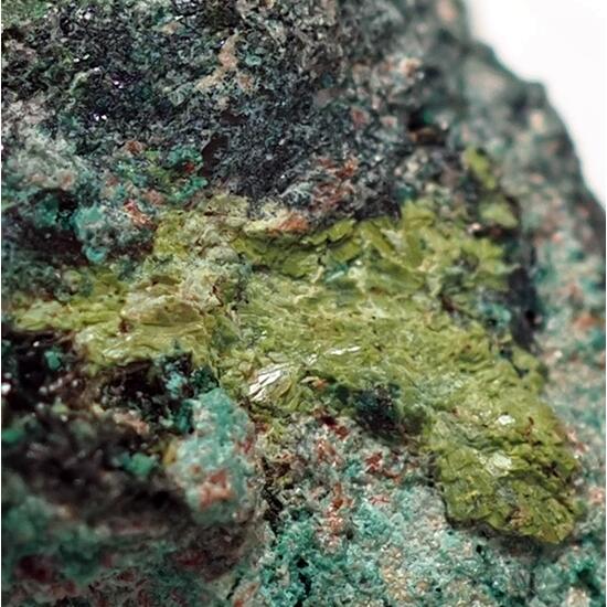 Demesmaekerite & Derriksite