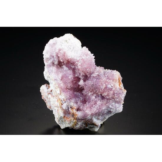 Creedite