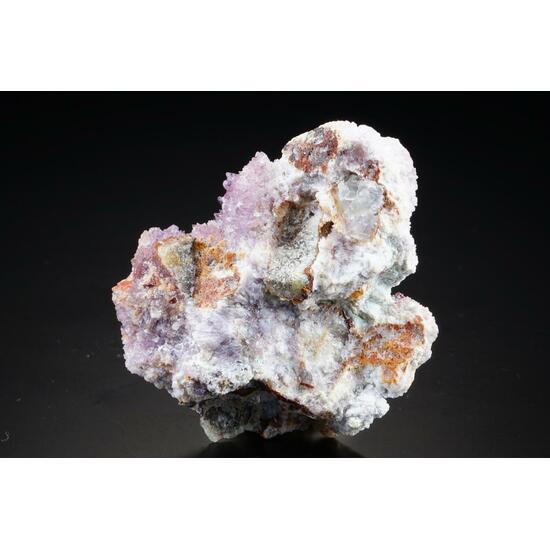 Creedite