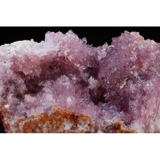 Creedite