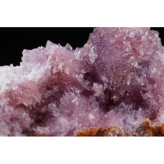 Creedite